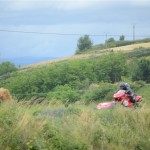 La moissonneuse en action :) (Merci à Sandra Kientz - La blonde photographe vraie fan de rallye)