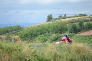 La moissonneuse en action :) (Merci à Sandra Kientz - La blonde photographe vraie fan de rallye)