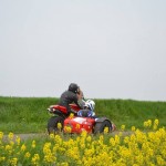 Une spéciale entre les champs de colza. Cool le jaune :)